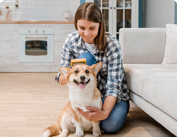Pet Care And Dog Walking